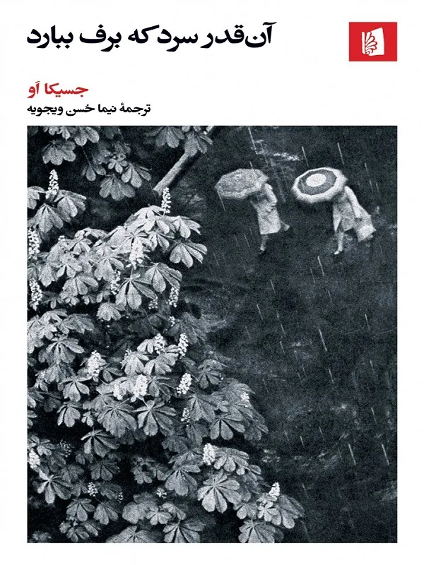 کتاب آن قدر سرد که برف ببارد