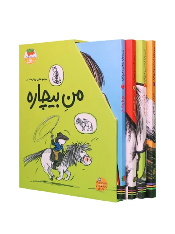 مجموعه من بیچاره چهار جلدی با قاب