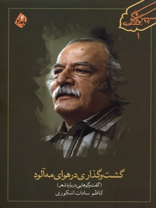 کتاب گشت و گذاری در هوای مه آلود