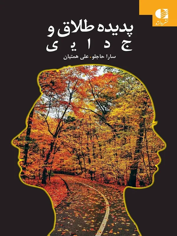 کتاب پدیده طلاق و جدایی