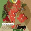 Contemporary History of Iran, 11th Formula Twenty Series gaj کتاب تاریخ معاصر ایران یازدهم سری فرمول بیست گاج