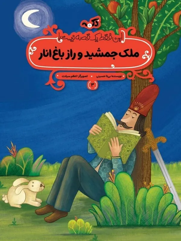 کتاب مجموعه این فقط یک قصه نیست کتاب مجموعه این فقط یک قصه نیست - تصویر 7