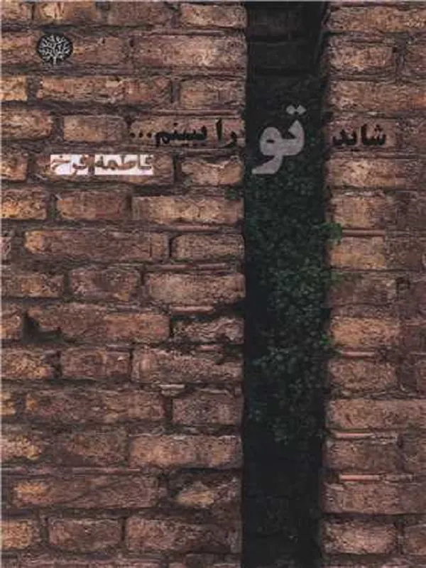 کتاب شاید تو را ببینم