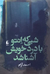 کتاب شبی که انتو با درد خویش آشنا شد