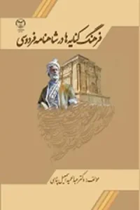 کتاب فرهنگ کنایه ها در شاهنامه فردوسی