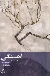 324056 کتاب آهستگی