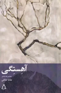 کتاب آهستگی