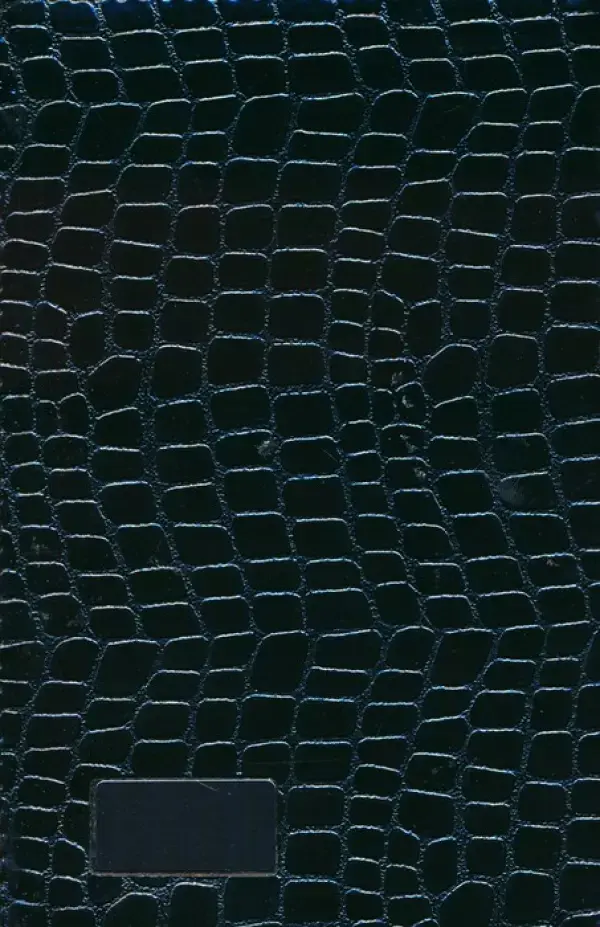 کتاب سالنامه اروپایی قدیما 1404 کتاب سالنامه اروپایی قدیما 1404 - تصویر 3