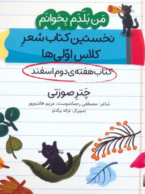 کتاب چتر صورتی