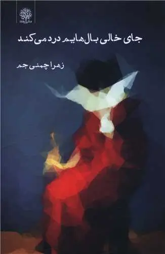 کتاب جای خالی بال هایم درد می کند