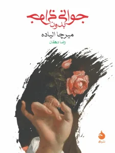 کتاب جوانی بدون جوانی