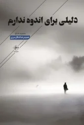 کتاب دلیلی برای اندوه ندارم کتاب دلیلی برای اندوه ندارم