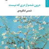 I entered through a door that doesn't exist کتاب درون شدم از دری که نیست