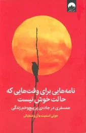 کتاب نامه هایی برای وقت هایی که حالت خوش نیست کتاب نامه هایی برای وقت هایی که حالت خوش نیست