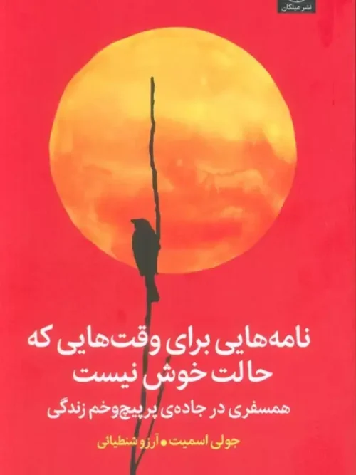 کتاب نامه هایی برای وقت هایی که حالت خوش نیست