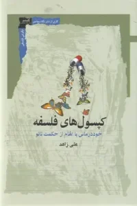 کتاب کپسول های فلسفه