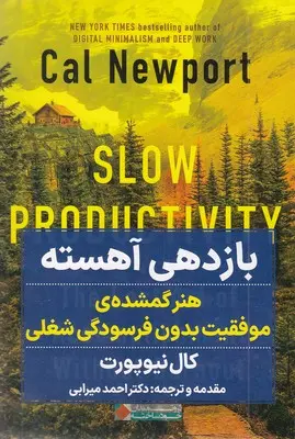 باز دهی آهسته