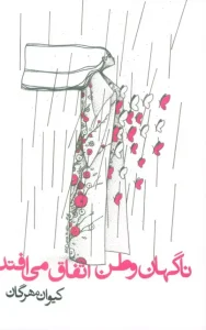 کتاب ناگهان وطن اتفاق می افتد