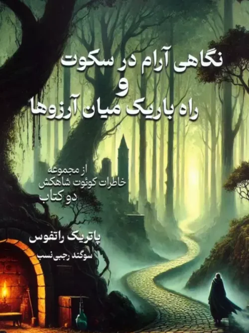 کتاب نگاهی آرام در سکوت و راه باریک میان آرزوها