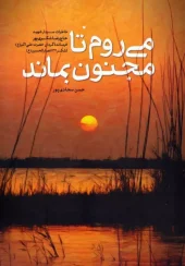 کتاب می روم تا مجنون بماند کتاب می روم تا مجنون بماند