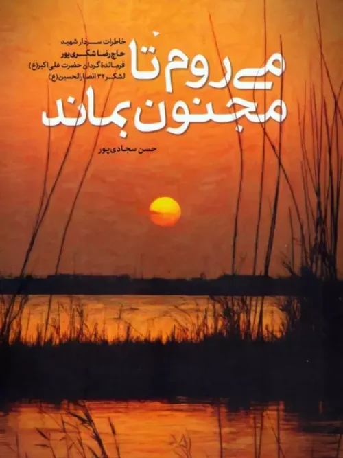 کتاب می روم تا مجنون بماند
