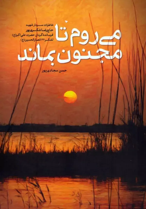 کتاب می روم تا مجنون بماند کتاب می روم تا مجنون بماند