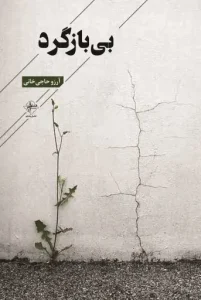 کتاب بی بازگرد