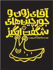 کتاب آقای زون و جورچین های شگفت انگیز کتاب آقای زون و جورچین های شگفت انگیز