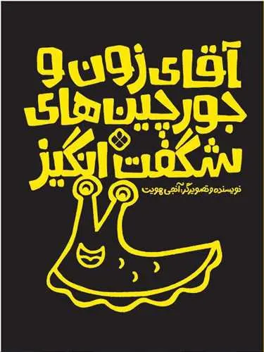 کتاب آقای زون و جورچین‌ های شگفت‌ انگیز