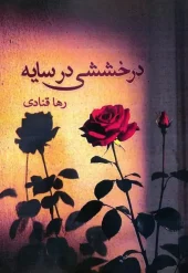 کتاب درخششی در سایه کتاب درخششی در سایه