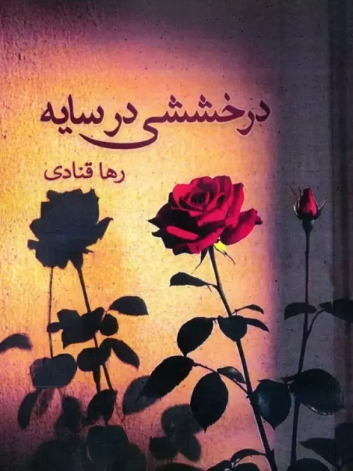 کتاب درخششی در سایه