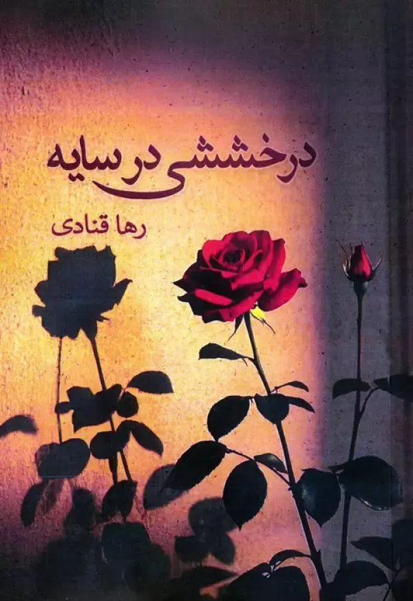 کتاب درخششی در سایه کتاب درخششی در سایه