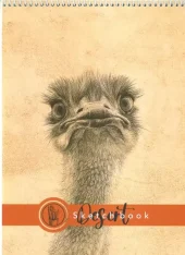 کتاب دفتر نقاشی و طراحی کتاب دفتر نقاشی و طراحی - تصویر 7