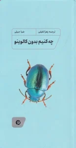 کتاب چه کنیم بدون کالوینو