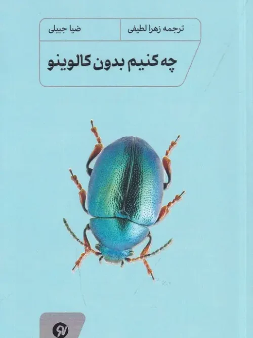 کتاب چه کنیم بدون کالوینو