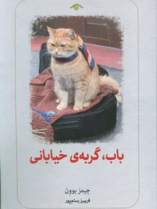 کتاب باب گربه خیابانی