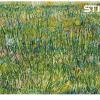 A piece of grass puzzle پازل تکه ای از چمن