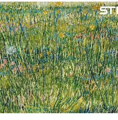 A piece of grass puzzle پازل تکه ای از چمن
