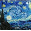 Starry Night Puzzle پازل شب پر ستاره