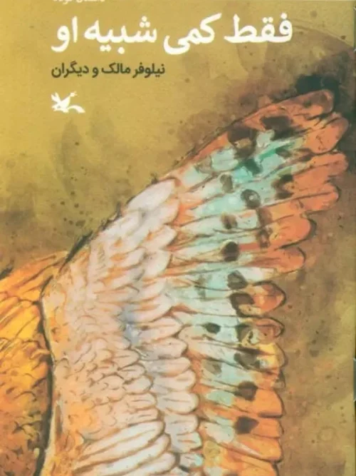 کتاب فقط کمی شبیه او