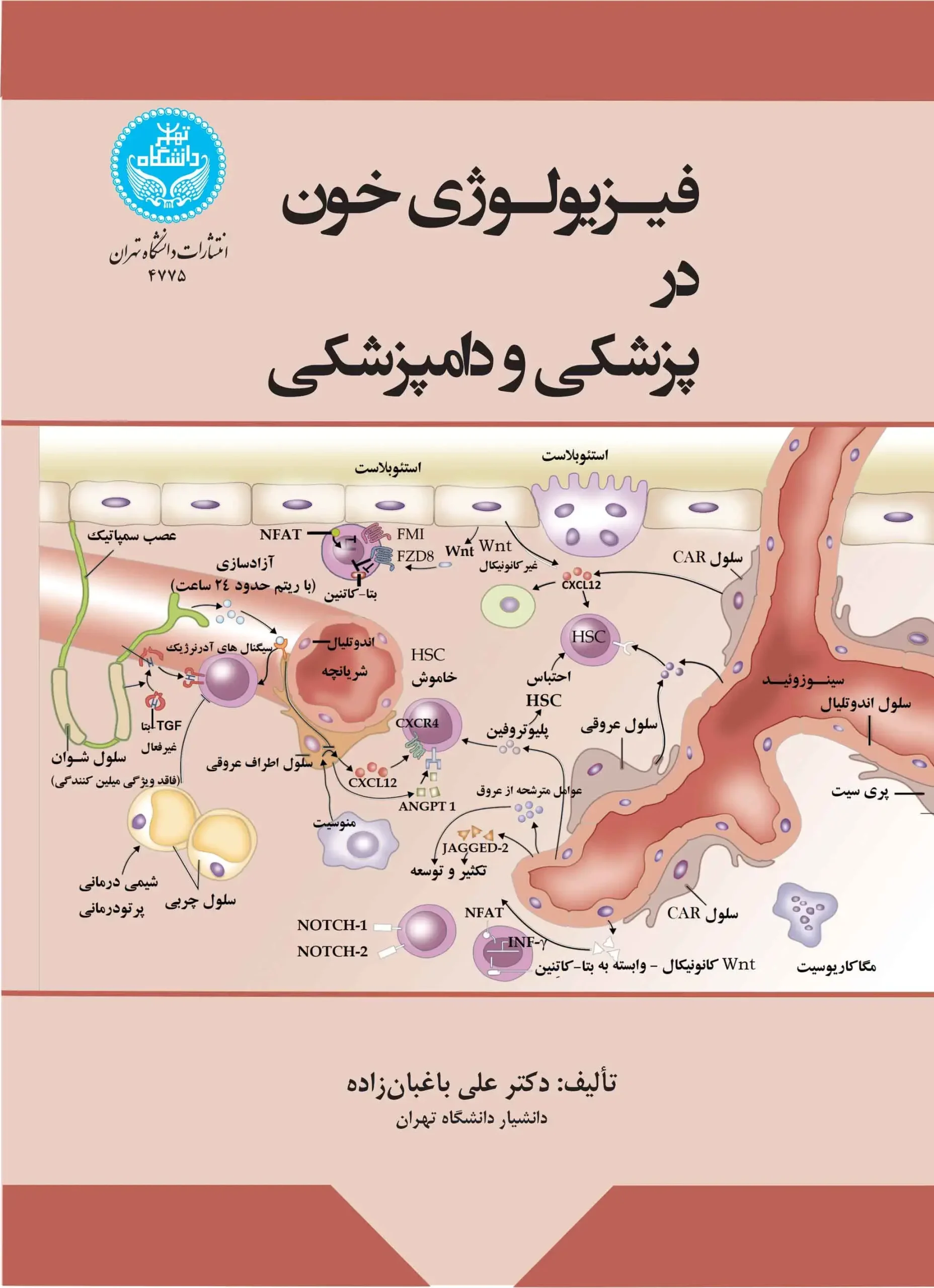 فیزیولوژی خون در پزشکی و دامپزشکی