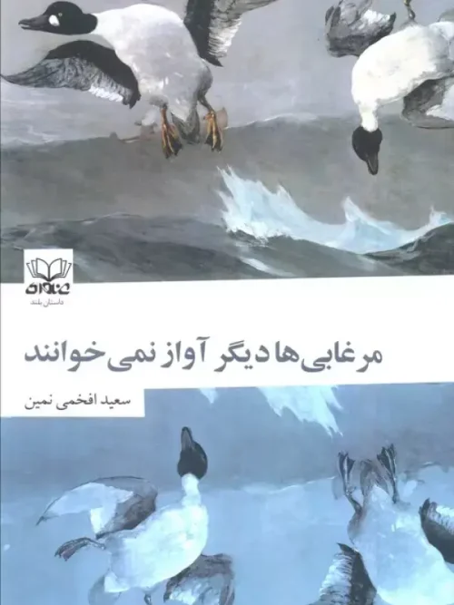 کتاب مرغابی ها دیگر آواز نمی خوانند