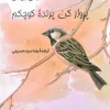 Fly, My Little Bird کتاب پرواز کن پرنده کوچکم
