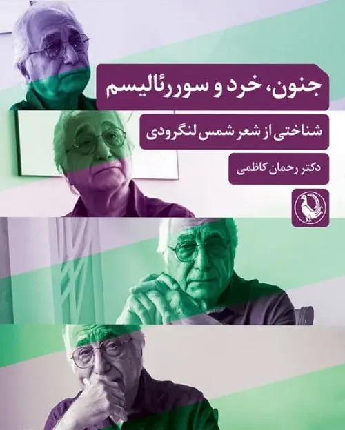 کتاب جنون خرد و سورئالیسم