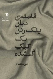 کتاب فاصله ی میان پلک زدن یک کبک گمشده کتاب فاصله ی میان پلک زدن یک کبک گمشده