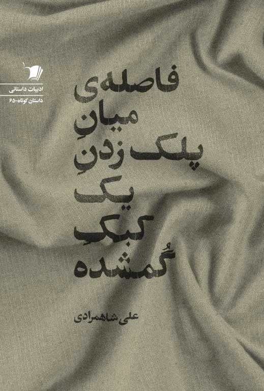 کتاب فاصله ی میان پلک زدن یک کبک گمشده