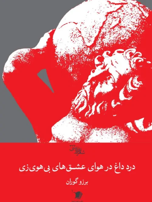 کتاب درد داغ در هوای عشق‌های بی هوی زی