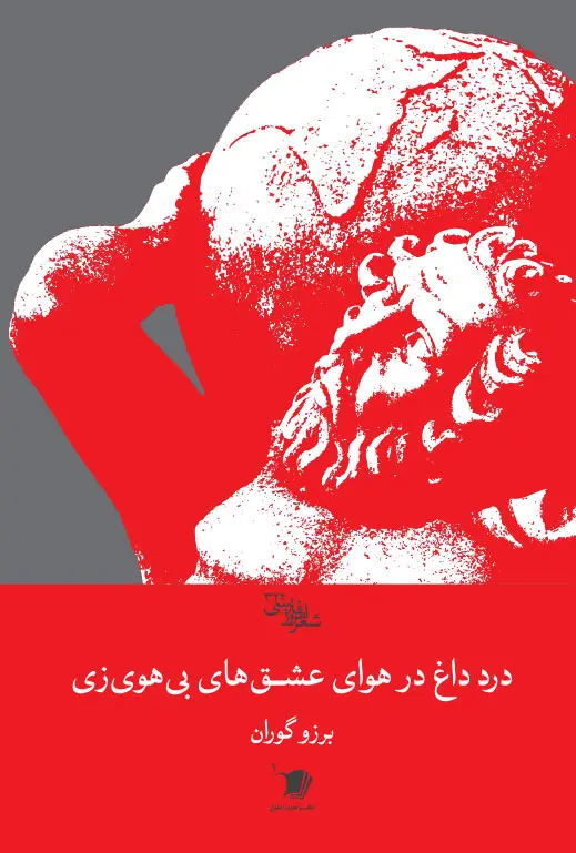 کتاب درد داغ در هوای عشقهای بی هوی زی کتاب درد داغ در هوای عشقهای بی هوی زی