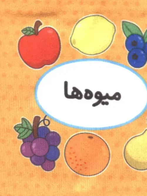 کتاب اولین کتاب تصویری من میوه ها