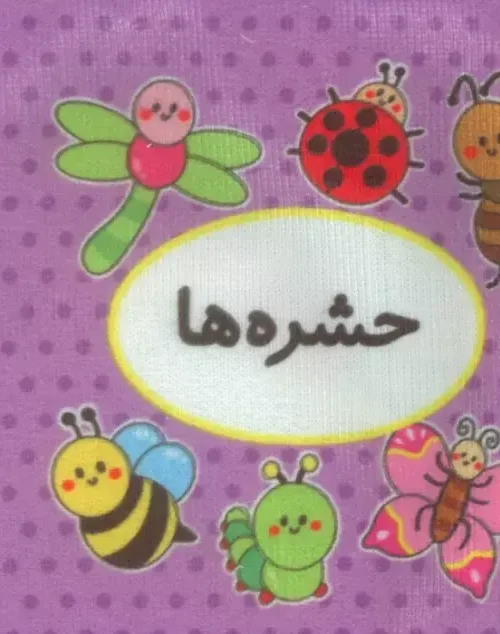 کتاب اولین کتاب تصویری من حشره ها